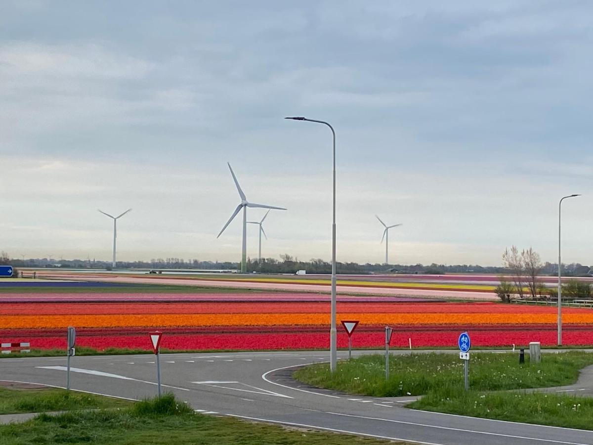 Zijperweg Vakantiehuis Vlakbij Zee, Strand En Bos ペッテン エクステリア 写真