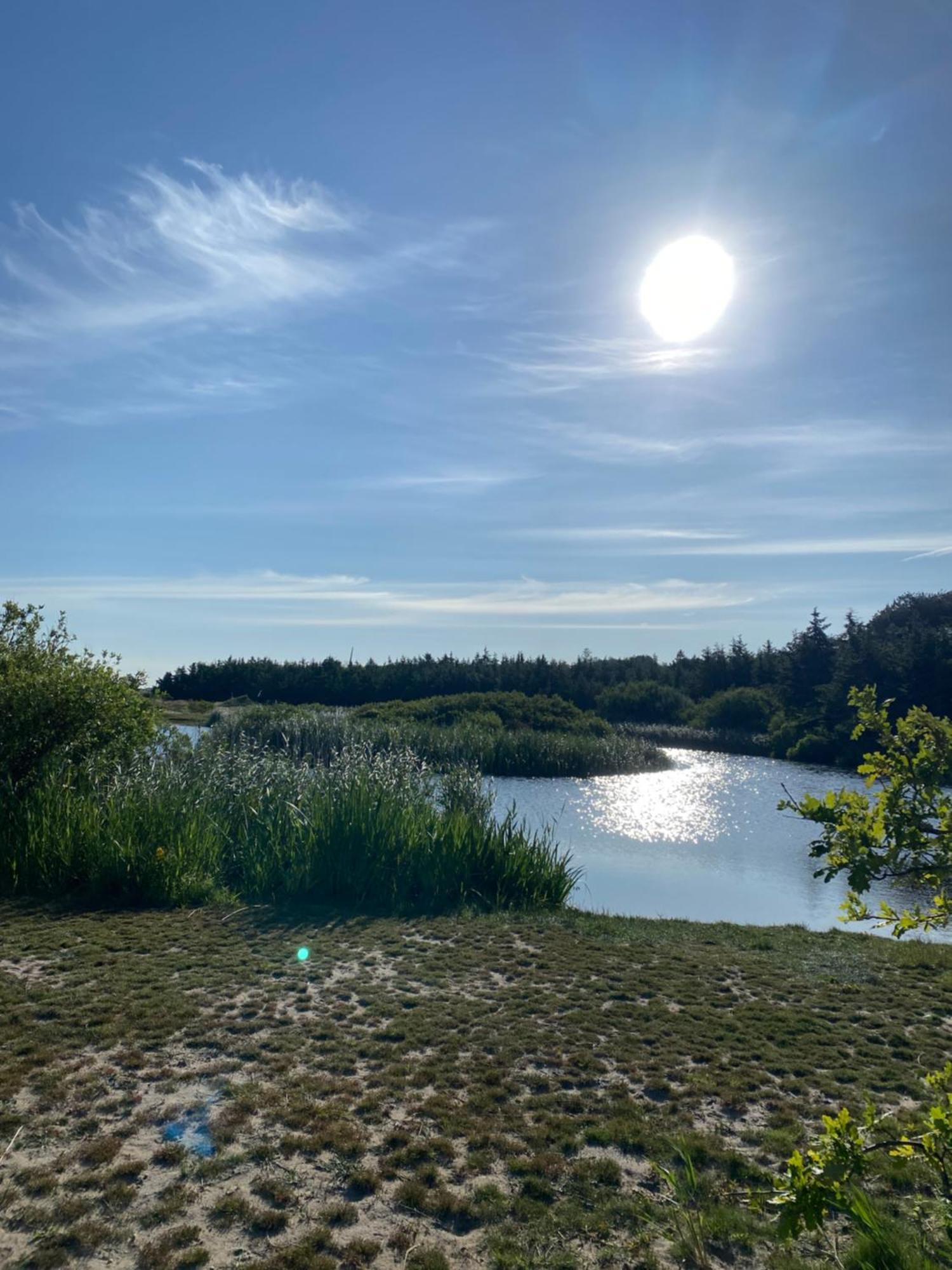 Zijperweg Vakantiehuis ペッテン エクステリア 写真